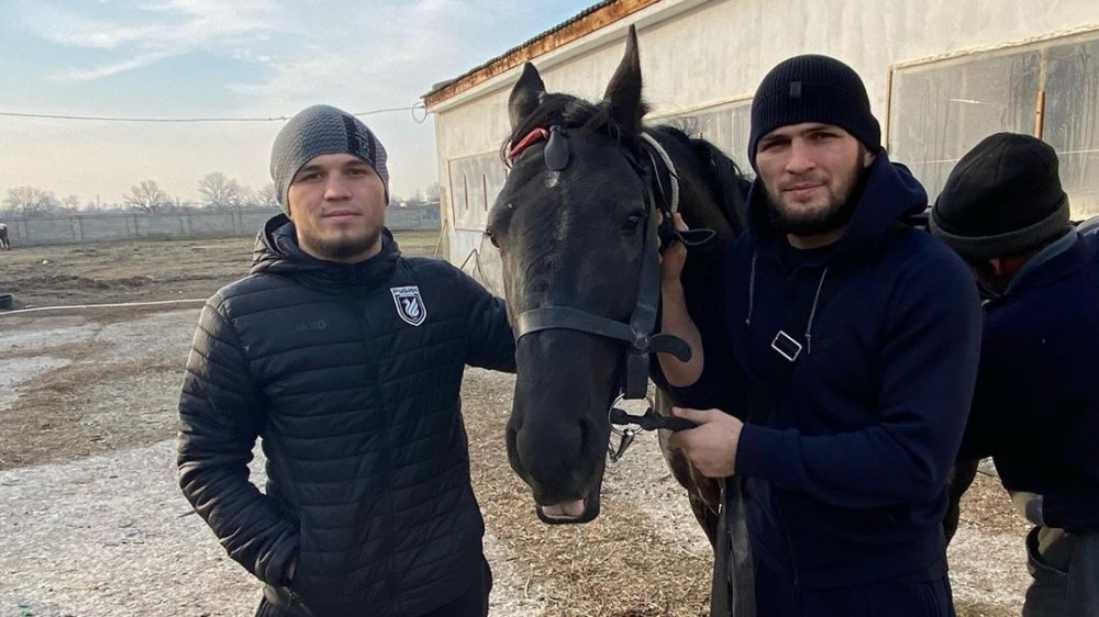 Хабиб Нурмагомедовтің інісі полицейді қағып кетті деген күдікпен ұсталды - БАҚ