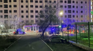 Ақтауда жол бойындағы төбелес: полиция зардап шеккендерді тапты