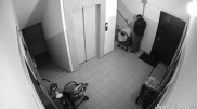 Алматыда үй кіреберісінде балалар арбасына дәрет сындырған тұрғын ұсталды