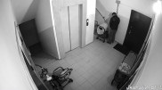 Балалар арбасына дәрет сындырған алматылық қамауға алынды