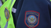 Қазақстанда 10 күн ішінде табиғатты қорғау заңнамасын бұзған 112 адам жазаланды