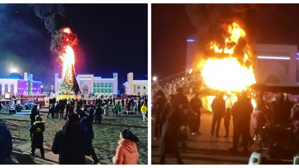 Таразда бас шырша өртеніп кетті