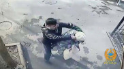 "Құлағынан сырғасын жұлып алған". Алматыда зейнеткерлерді тонаған ер адам ұсталды