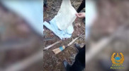 Алматыда Баум тоғайынан қару жасырылған орын табылды
