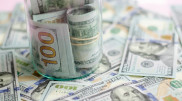 Демалыс күндері доллар бағамы қандай болады?