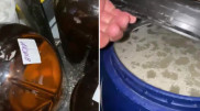 Ресейден әкелінген: Алматыда сыра сақталған қойма әшкереленді