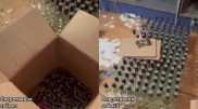 Түркістан облысында алкоголь өнімдерін шығаратын 3 жасырын цех әшкереленді
