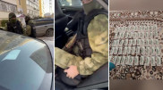 Бішкекте ҰҚТ мүшелері қазақстандықтың 18 миллион теңгеден аса ақшасын тартып алған