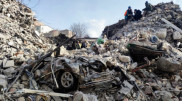 Түркиядағы жер сілкінісі: 1 айдан кейін үйінді астынан ит пен жылқы тірі табылды