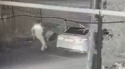 Хромтауда көшеде кетіп бара жатқан адамға оқ атқан бұзақы ұсталды