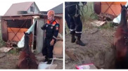 Алматы облысында құтқарушылар құдыққа түсіп кеткен жылқыны шығарып алды