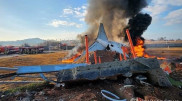 Оңтүстік Кореядағы ұшақ апатының алдын ала себебі белгілі болды