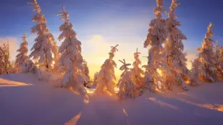 Тұман, көктайғақ, жел: 1 қаңтарға ауа райы болжамы