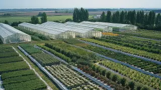 Павлодар облысында әкімдік шешімі жойылып, жер студенттерге қайтарылды