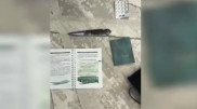 Қазақстанның оңтүстігінде пәтер тонауға қатысы бар топтар ұсталды