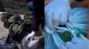 Ақтөбе тұрғынынан аса ірі көлемде марихуана тәркіленді