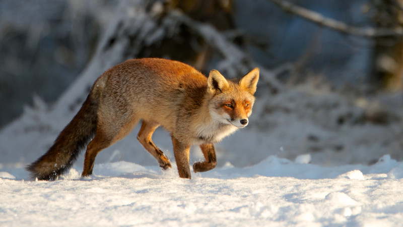 Фото:depositphotos.com