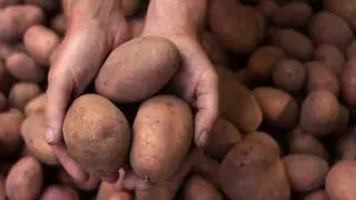 “322 теңге тұрады, 433 теңгеден сатып алдым“ -  шенеуніктің картоп бағасы туралы айтқаны сәйкеспей қалды