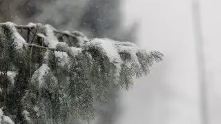 Қазгидромет Астана, Алматы және тағы 5 қаланың тұрғындарына ескерту жасады