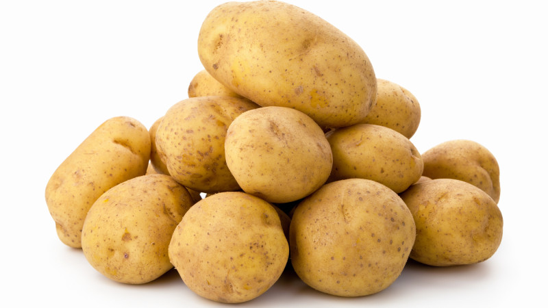 Фото:depositphotos.com