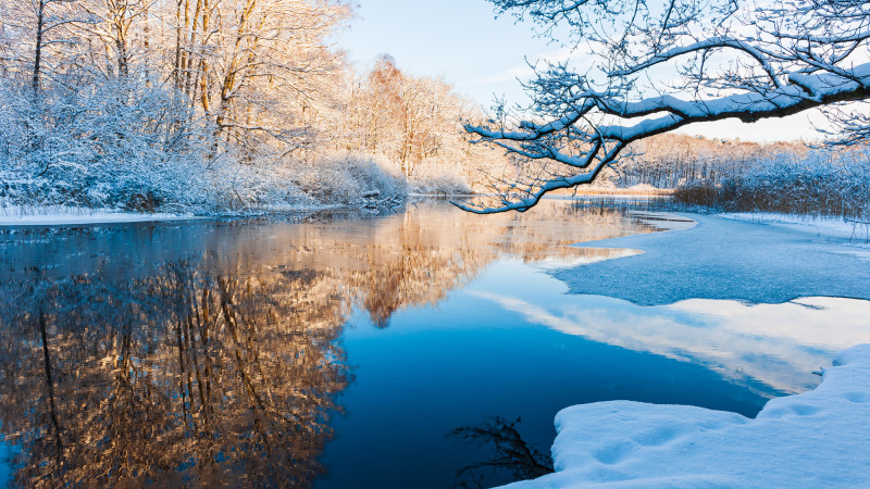 Фото:depositphotos.com