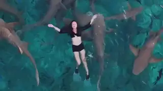 Түсірілім кезінде акула блогерге шабуыл жасады