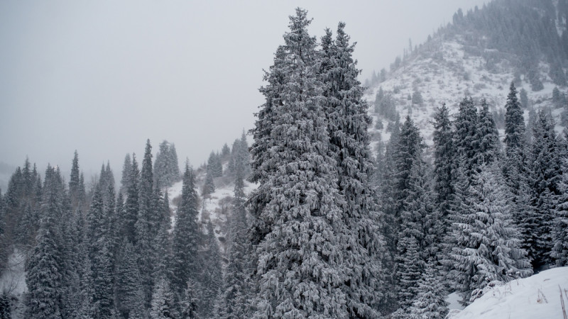 ©️ depositphotos.com