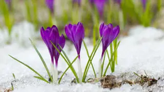 Қазақстанда алдағы күндері ауа райы қандай болады?