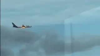 АҚШ-та ұшақ құстармен соқтығысып, әуеде өртенген