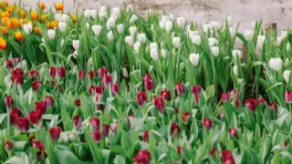 Қазақстанда алдағы күндері ауа райы қандай болады?