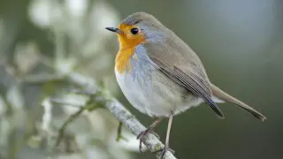 Қазақстанда алдағы күндері ауа райы қандай болады?