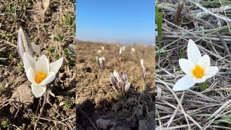 видео кадры