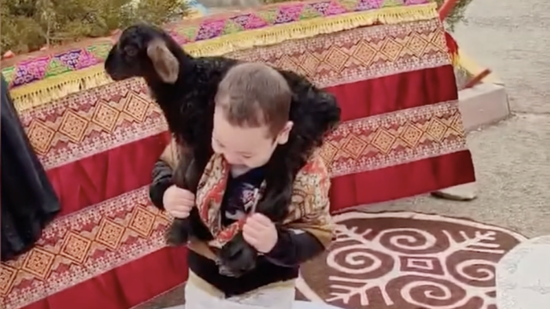 видео кадры