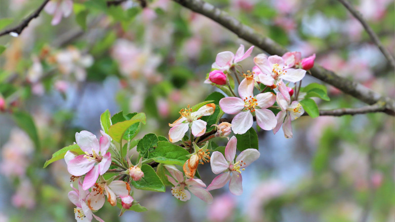 Фото:depositphotos.com