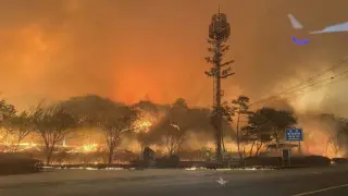 Оңтүстік Кореяда алапат өрттен төрт адам қаза тапты: төтенше жағдай жарияланды