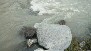 Алматы облысында медициналық орталық пен үйлерді су басты