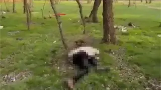 Тараздағы саябақта ер адам өлі табылды