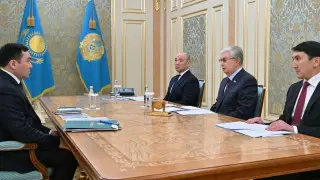 Тоқаев энергетика министріне тапсырма берді