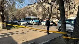 Алматыда тағы бір баланы көлік қағып өлтірді