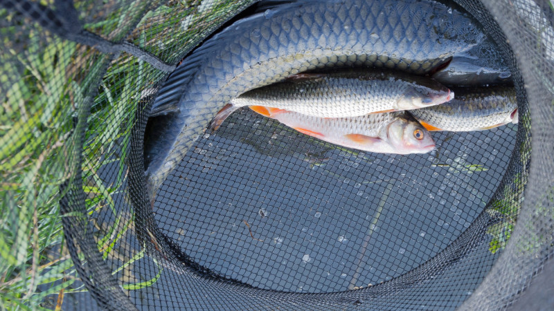 Фото:depositphotos.com