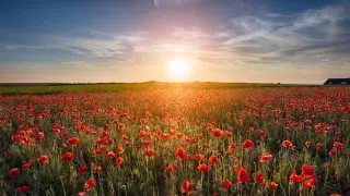 Мамырда қазақстандықтар қалай демалады?