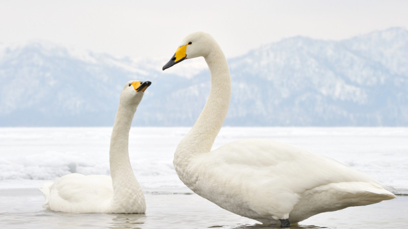 Фото:depositphotos.com