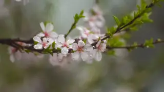 Қазақстанда бүгін ауа райы қандай болады?