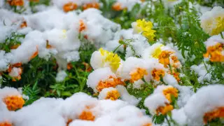 19 сәуірге арналған ауа-райы болжамы қандай?