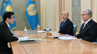Тоқаев “Бәйтерек“ холдингінің басқарма төрағасын қабылдады