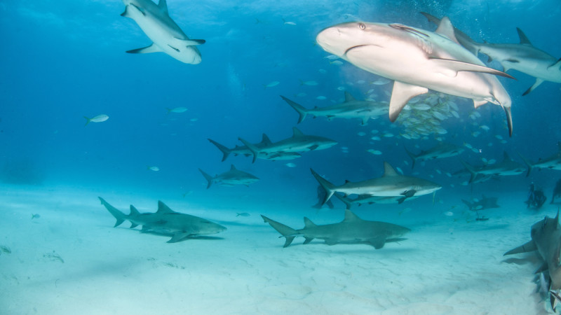 Фото:depositphotos.com