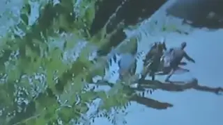 Шерзат Болаттың өліміне қатысты іс: сотта жантүршігерлік кадрлар көрсетілді