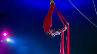 Астана циркінде гимнаст қыз биіктен құлап кетті