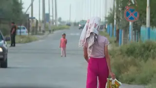 Түркістан облысында мемлекеттік субсидияны жымқыру схемасы әшкере болды