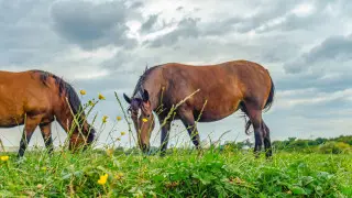 Қазақстанда бүгін ауа райы қандай болады?